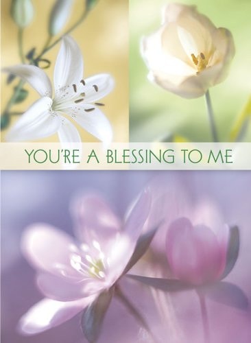 You're a Blessing to Me (Women's) Greeting Book: You’re a Blessing to Me