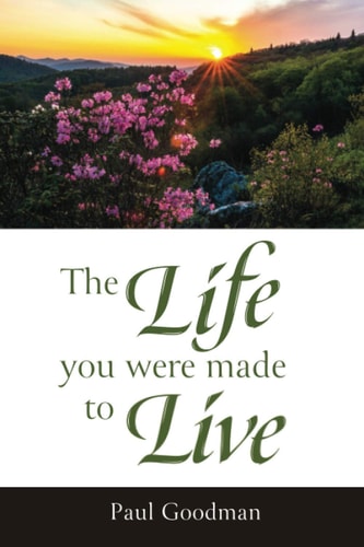 The Life You Were Made To Live: A life guide for men