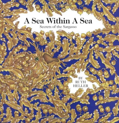 A Sea within a Sea: Secrets of the Sargasso