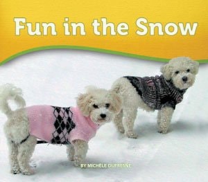 Fun in the Snow