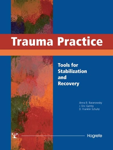 Trauma Practice: Tools For Stabilization And Recovery