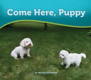 Come Here, Puppy