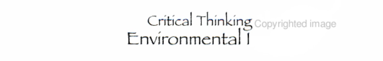 Critical Thinking About Environmental Issues - Global Warming (hardcover edition)