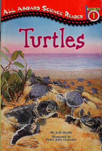 Turtles
