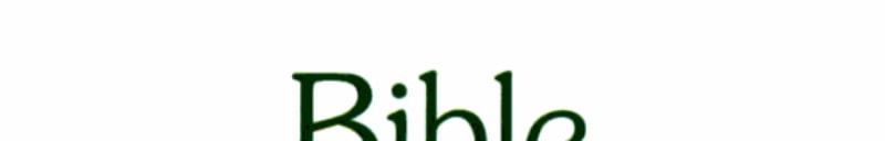 Bible Praises for Preschoolers