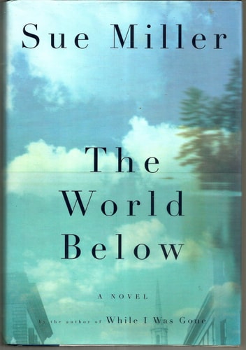 The World Below A Novel