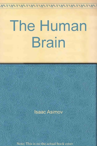 The Human Brain