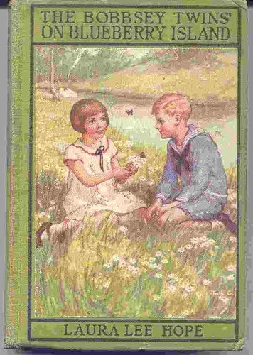 The Bobbsey Twins On Blueberry Island (Bobbsey Twins, No. 10)
