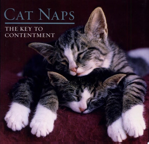 Cat Naps: The Key to Contentment