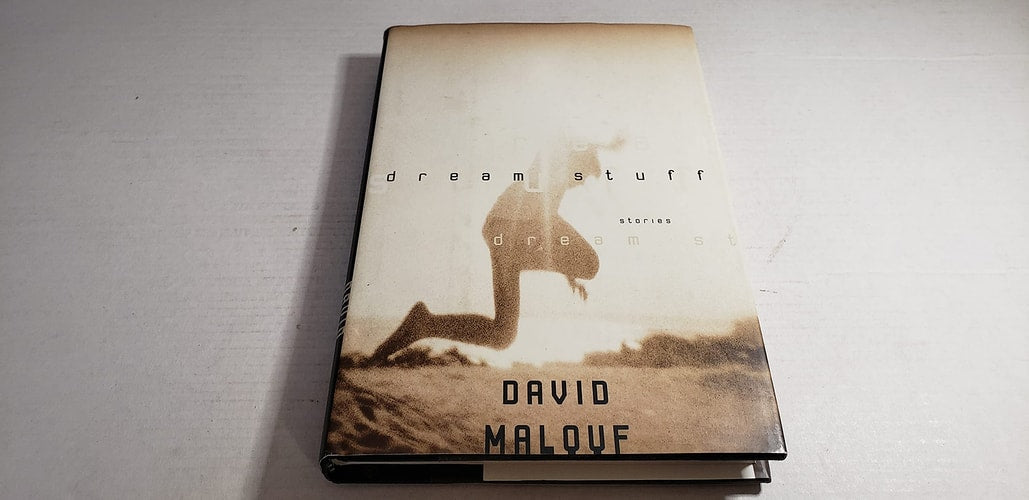Dream Stuff: Stories