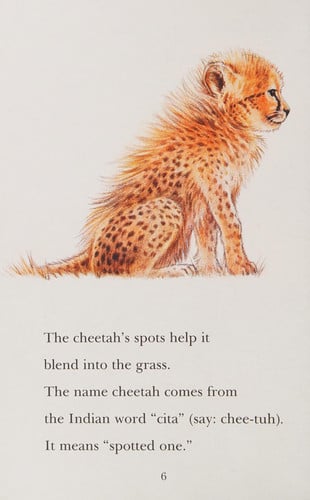 Cheetah Cubs (Penguin Young Readers, Level 3)