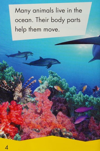 Ocean Animals (Riverstream Readers, Level 1)