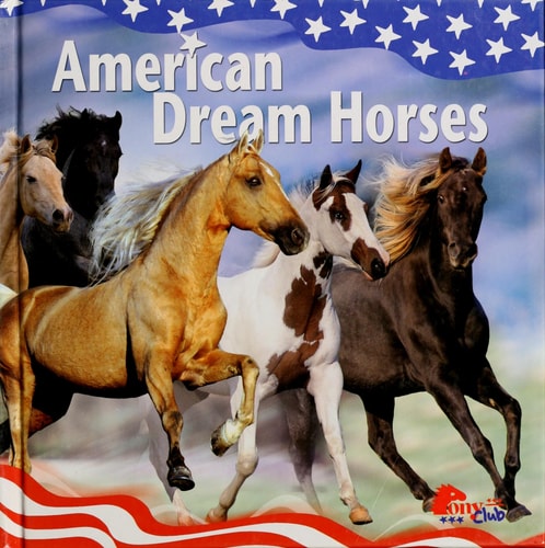 American Dream Horses