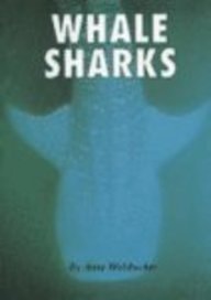 Whale Sharks
