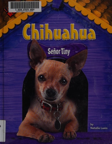 Chihuahua: Senor Tiny (Little Dogs Rock!)