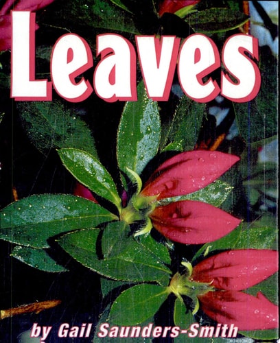 Leaves (Pebble Books)
