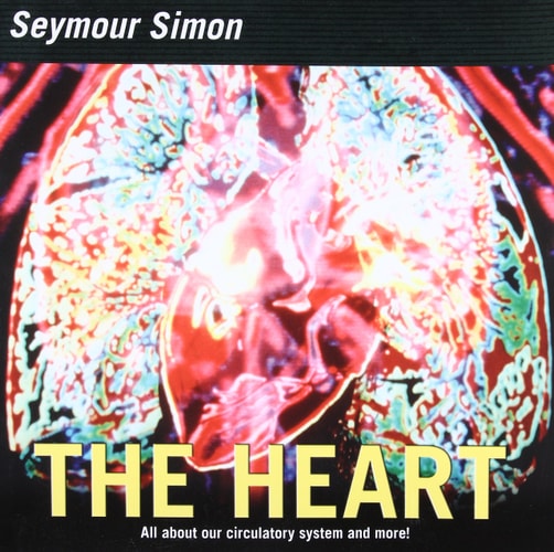 The Heart Our Circulatory System