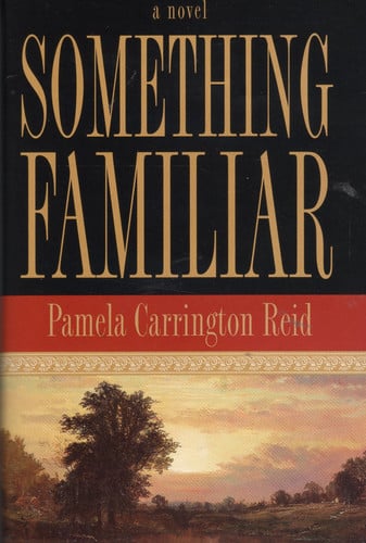 Something Familiar: A Novel