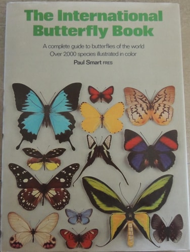 The International Butterfly Book (A Salamander book)