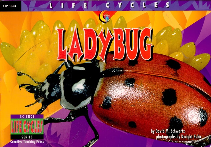 Lady Bug (Life Cycles)