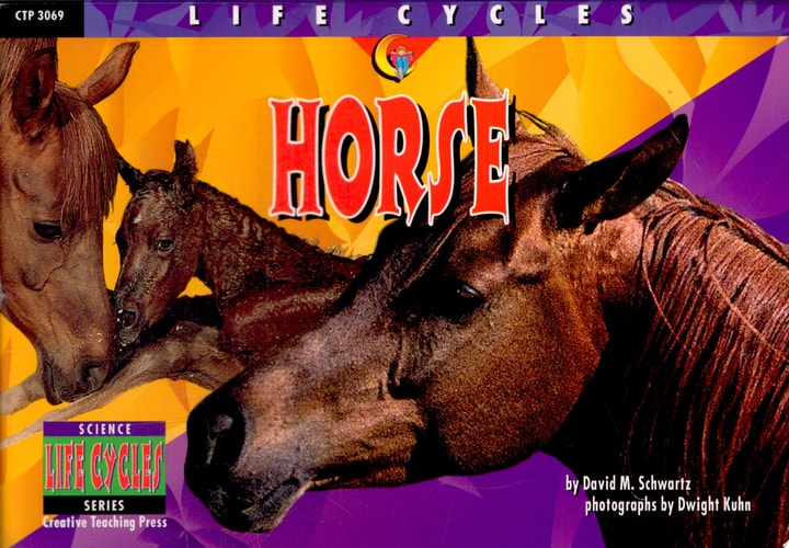Horse (Life Cycles)