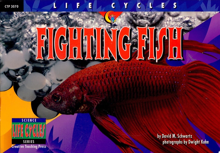 Fighting Fish