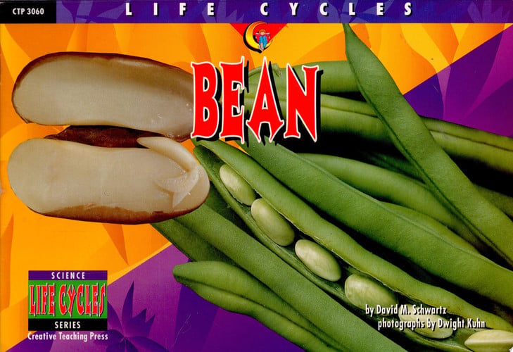 Bean (Life Cycles)