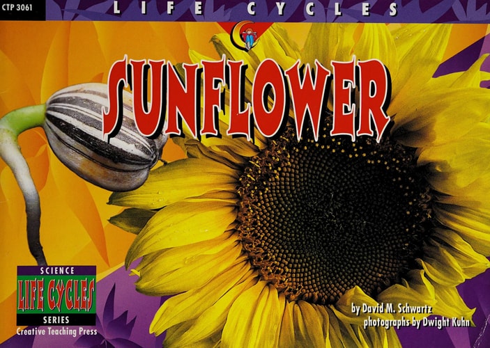 Sunflower (Life Cycles)