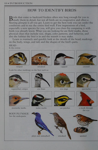 Birds of Texas