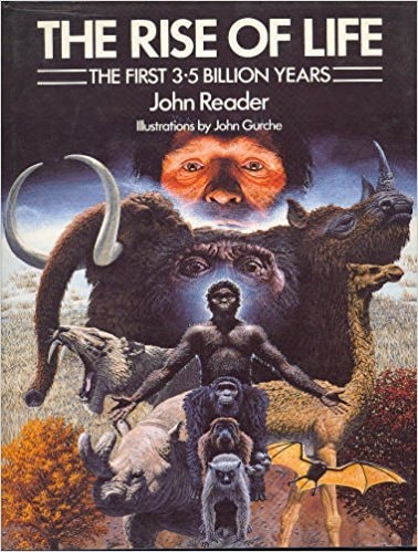The Rise of Life: The First 3.5 Billion Years