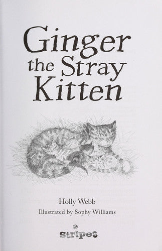 Ginger the Stray Kitten