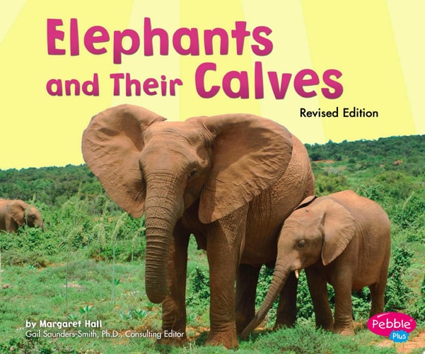 Elephants and Their Calves (Animal Offspring)