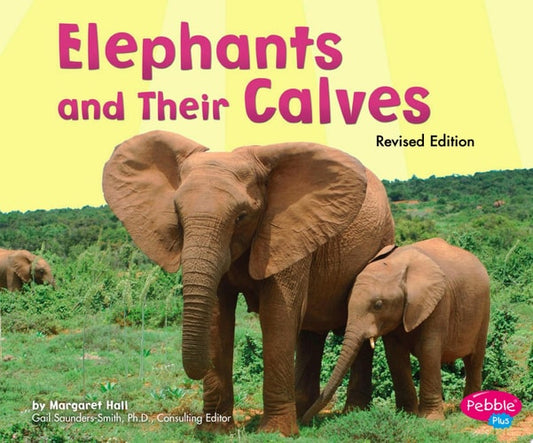Elephants and Their Calves (Animal Offspring)