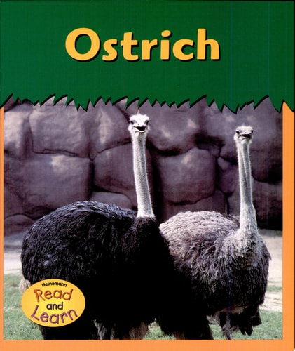 Ostrich (Zoo Animals)