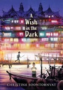 A Wish in the Dark