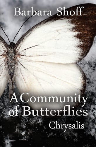 A Community of Butterflies: Chrysalis