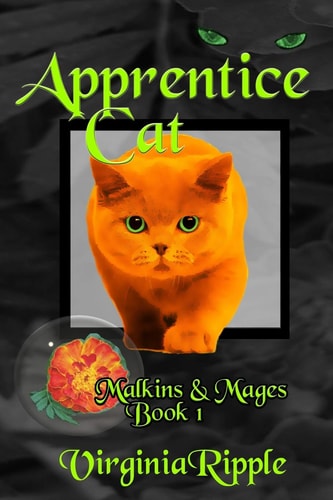 Apprentice Cat (Malkins & Mages)