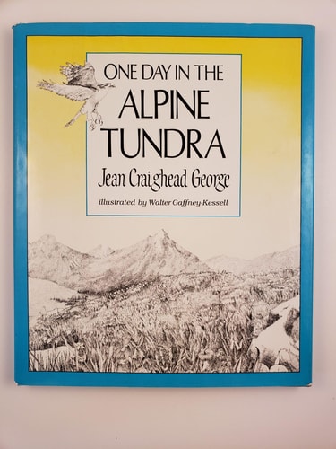 One Day in the Alpine Tundra