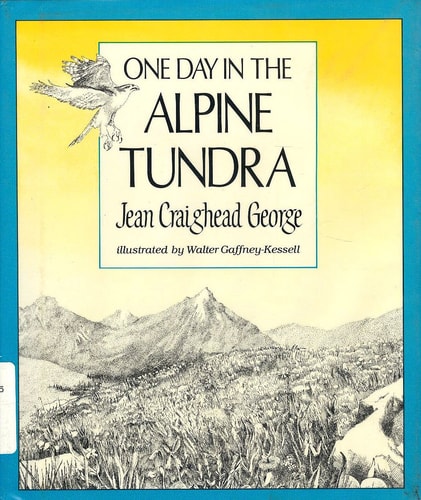 One Day in the Alpine Tundra
