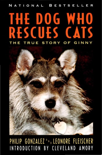 The Dog Who Rescues Cats: True Story of Ginny, The