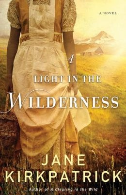 A Light in the Wilderness A Novel