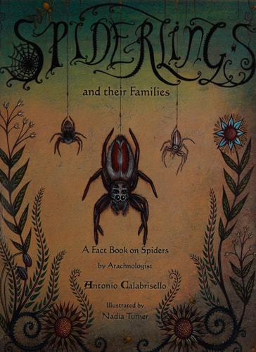 Spiderlings and Their Families