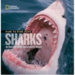 Face to Face with Sharks