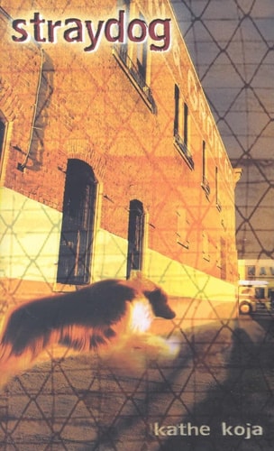 Straydog