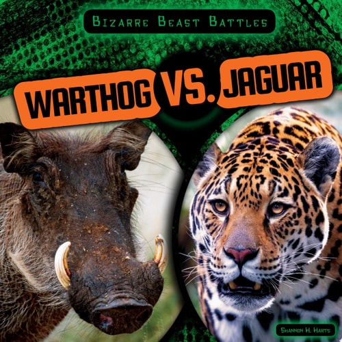 Warthog VS. Jaguar (Bizarre Beast Battles)