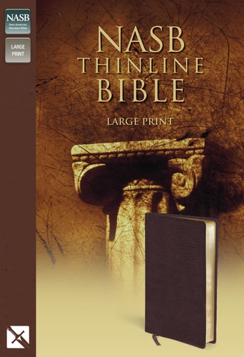 New American Standard Thinline Bible Bounded Leather, Burgundy