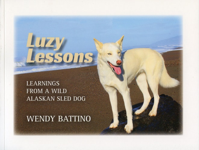 Luzy Lessons: Learnings from a Wild Alaskan Sled Dog. Learn to love yourself and live your adventure.