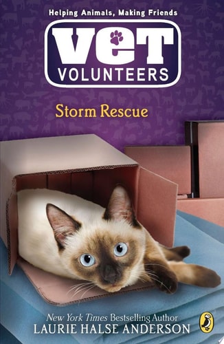 Storm Rescue #6 (Vet Volunteers)