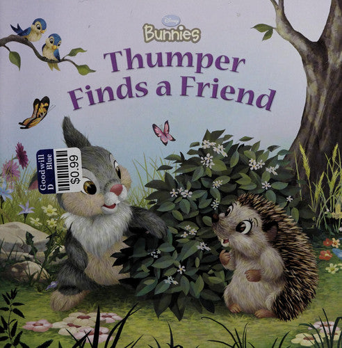 Disney Bunnies: Thumper Finds a Friend