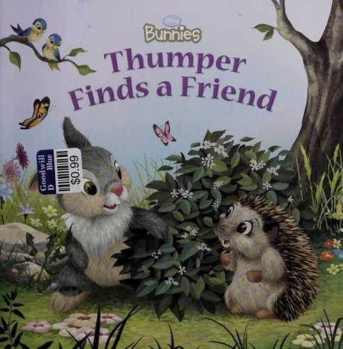 Disney Bunnies Thumper Finds a Friend